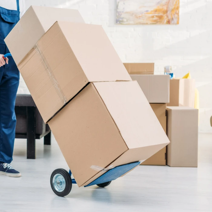  Junk Removal in Edgmont
