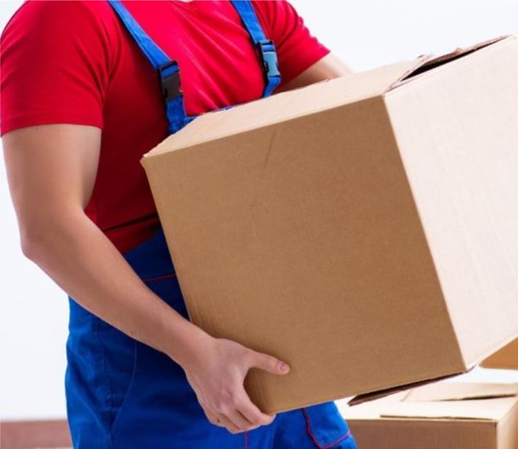 Apartment Movers in 
Newtown Square
