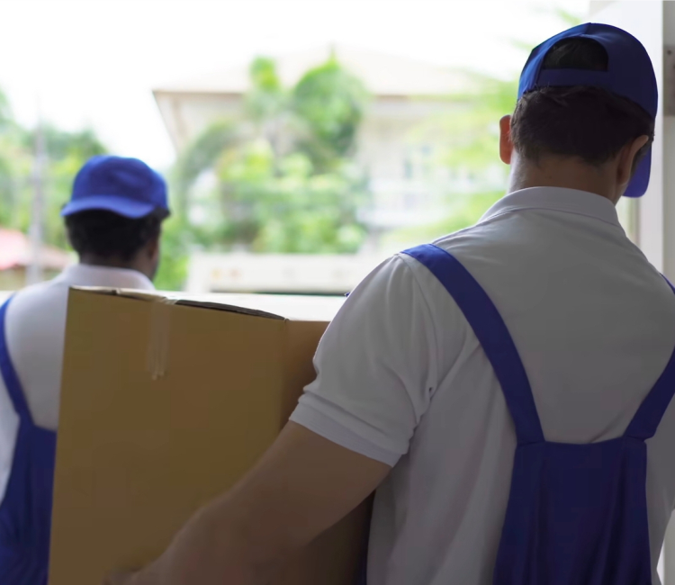 Junk Removal Services in St. Davids

